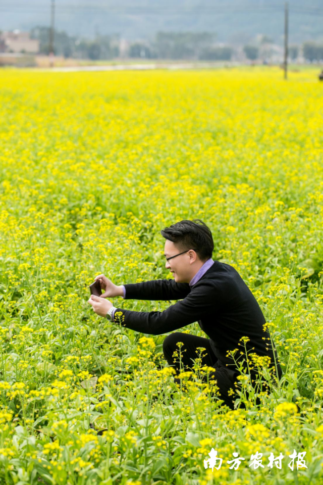 乡村新闻官袁学友田间拍摄农田丰收。