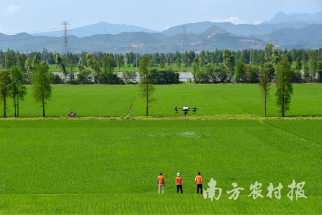 天禾股份开展农业社会化服务