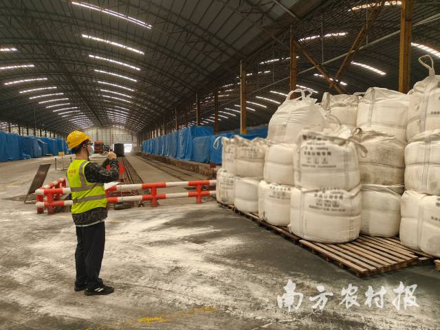 春节期间天禾股份值班员工清点货物和协调农资调入工作