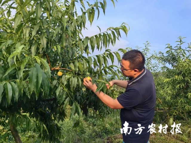 清純時尚女生服裝（清純女裝品牌）