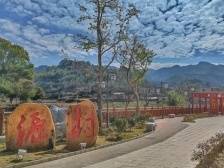 村集体经济收益3年增长近6倍，新丰这个村怎么做到的？