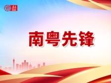 绿美画卷要“描清轮廓”“填满底色”“做好点景”