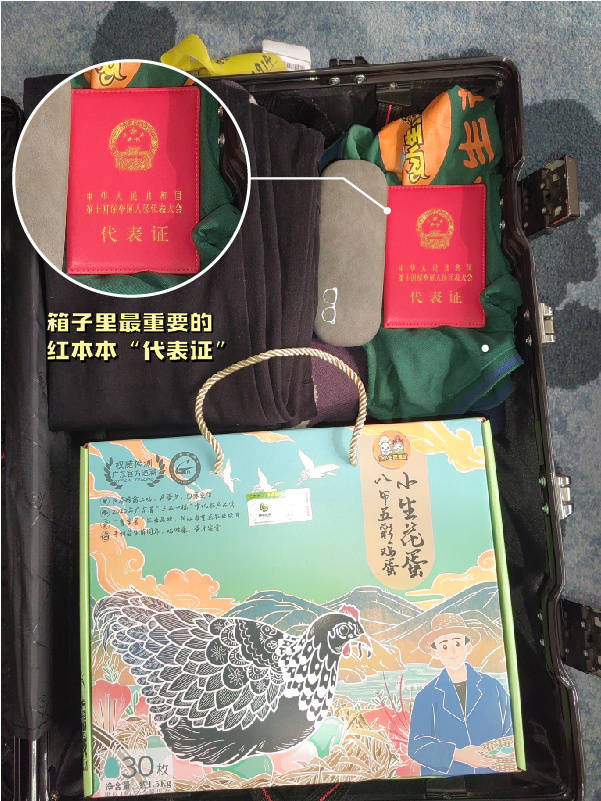 代表开箱Plog | 五彩包装盒，装着阳春的蛋鸡产业和绿美山水