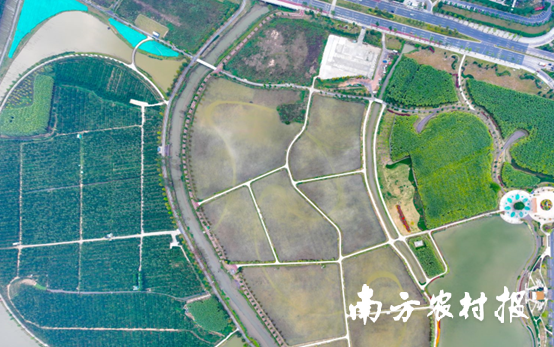 本次活动将在新会梅江农业生态园举行。