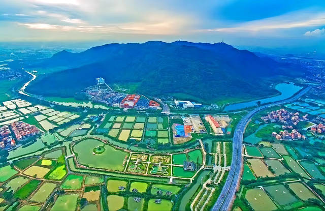 儒溪村的鱼塘面积超过5000亩，有近400户农户从事水产养殖行业。