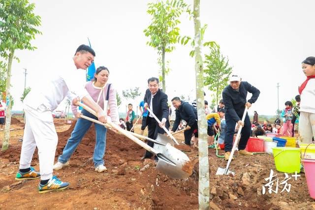 雷高乡贤积极参与植树造林活动，以绿荫回馈家乡