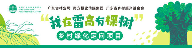 共绘绿美雷高画卷！广东省林业局发布“我在雷高有棵树”活动倡议