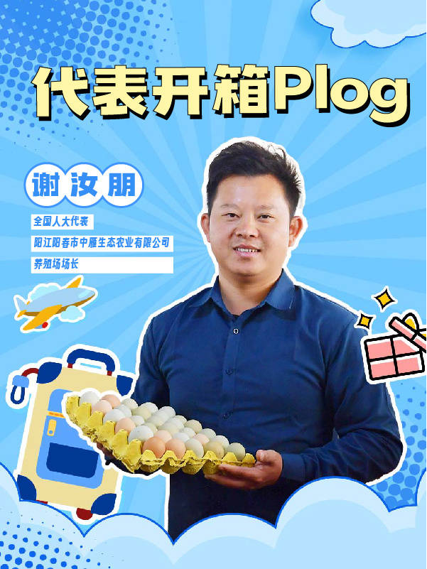代表开箱Plog | 五彩包装盒，装着阳春的蛋鸡产业和绿美山水