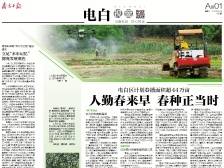 人勤春来早 春种正当时 | 速览《南方日报·电白视窗》161期