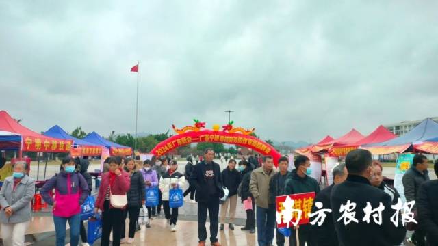 为青少年营造清朗网络空间