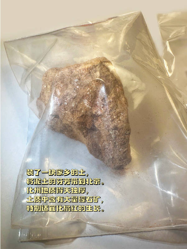 代表开箱Plog | 化橘红中药文化非遗传承人晒出土特产“三件套”