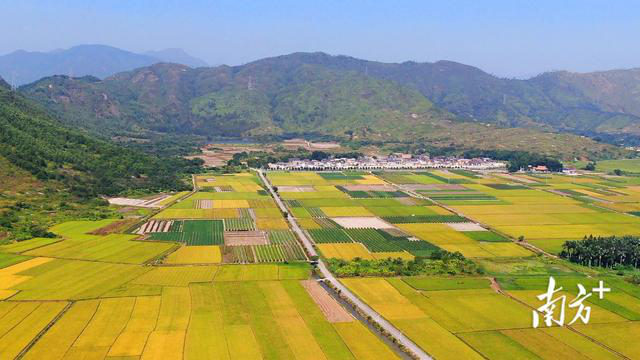 南方农村报 李嘉镓 制图