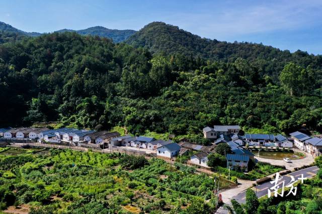 廿林添绿美出新高度梅州以主题林建设为抓手全力推进绿美生态建设