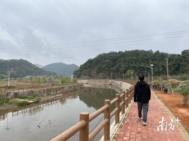 廿林添绿美出新高度梅州以主题林建设为抓手全力推进绿美生态建设
