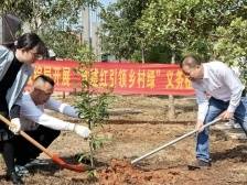 吴川市城综局助力打造生态宜居绿美乡村