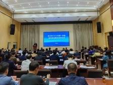 18个项目、签约额达百亿元！吴川第一季度招商项目集中签约