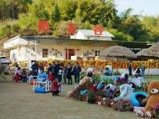 为“百千万工程”提供智力支撑，兴宁这样发力