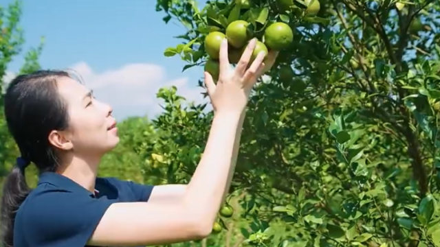 深加工，给柑橘的世界带来更多“金”彩｜这些身边事儿，我跟代表聊两句