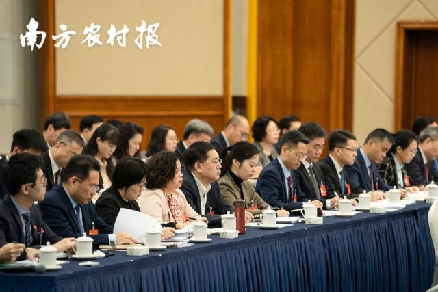 广东代表团开放团组，围绕新质生产力、绿美广东、海洋经济等建言 