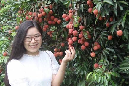 陈兵与广东荔枝。