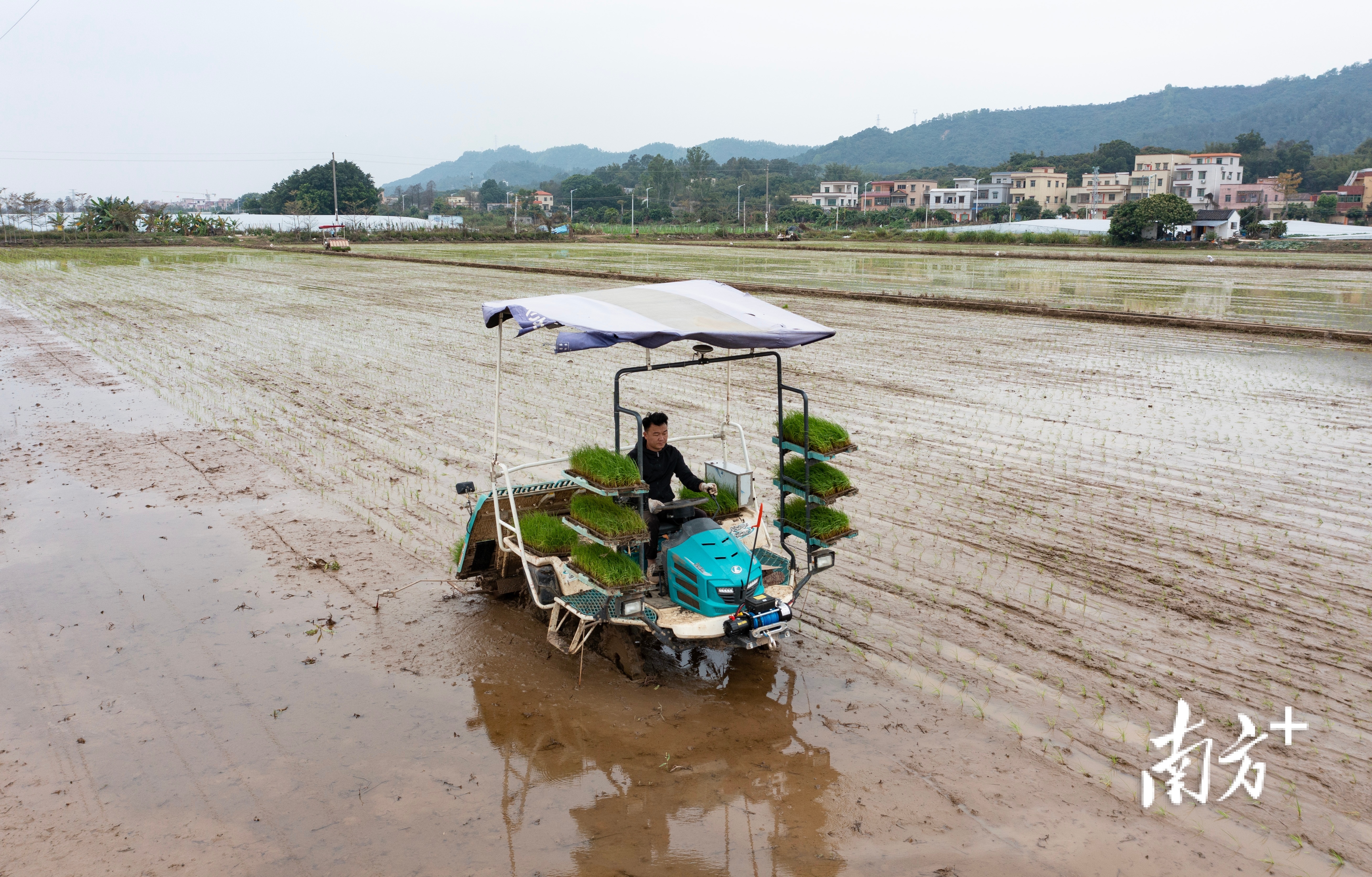 眼下的岭南大地，田间地头呈现一派繁忙景象，一幅生机勃勃的智慧春耕画卷徐徐展开。