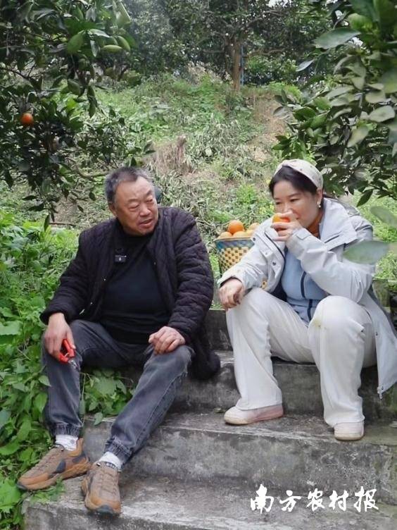 陈兵与当地果农交流。