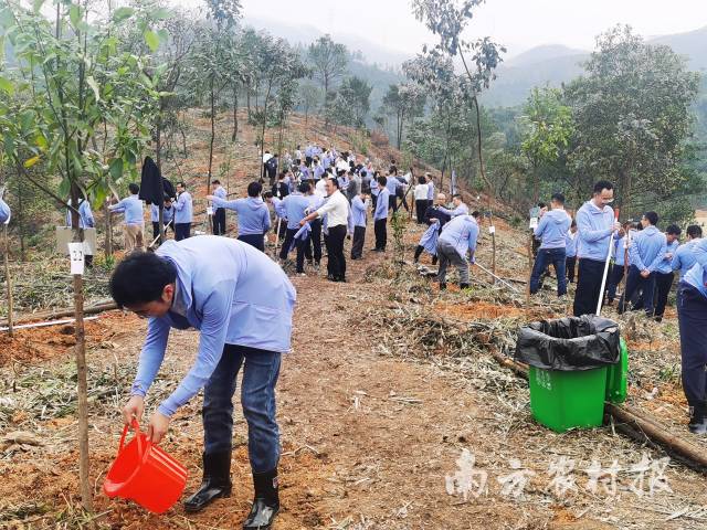 “银盏树木园”植树现场