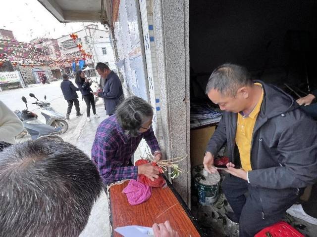 东新村委会工作人员为种植户发放嫁接穗。