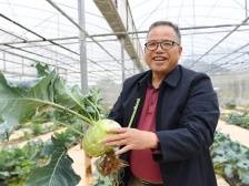 全国政协委员黄显良：以新质生产力推进农业转型升级