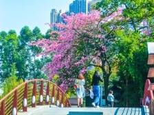 为什么说桂城真正做到了“全龄友好”？