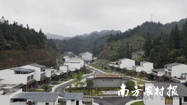 金秀镇六段村“园”项目。