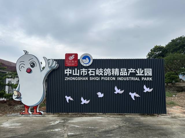 中山市石岐鸽精品产业园。