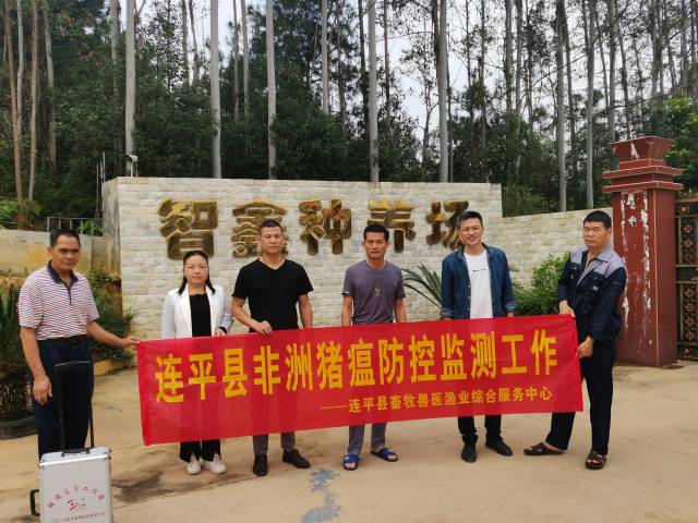 连平县畜牧兽医渔业综合服务中心兽医师吴素芬（左二）开展非洲猪瘟防控检测工作。