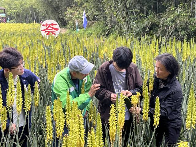 华南农业大学教授岳学军（右）农业技术推广服务现场。