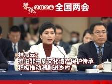 全国人大代表林燕云：推进非物质文化遗产保护传承，积极推动潮剧进乡村