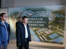 武江区委书记张广晖调研龙归镇“百千万工程”推进情况