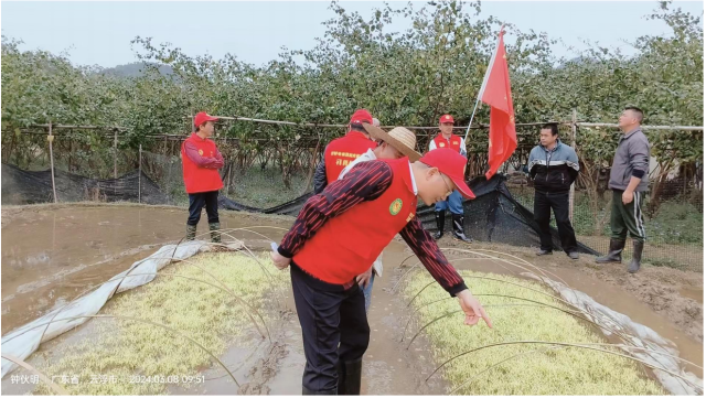 农技服务轻骑兵诊断现场。