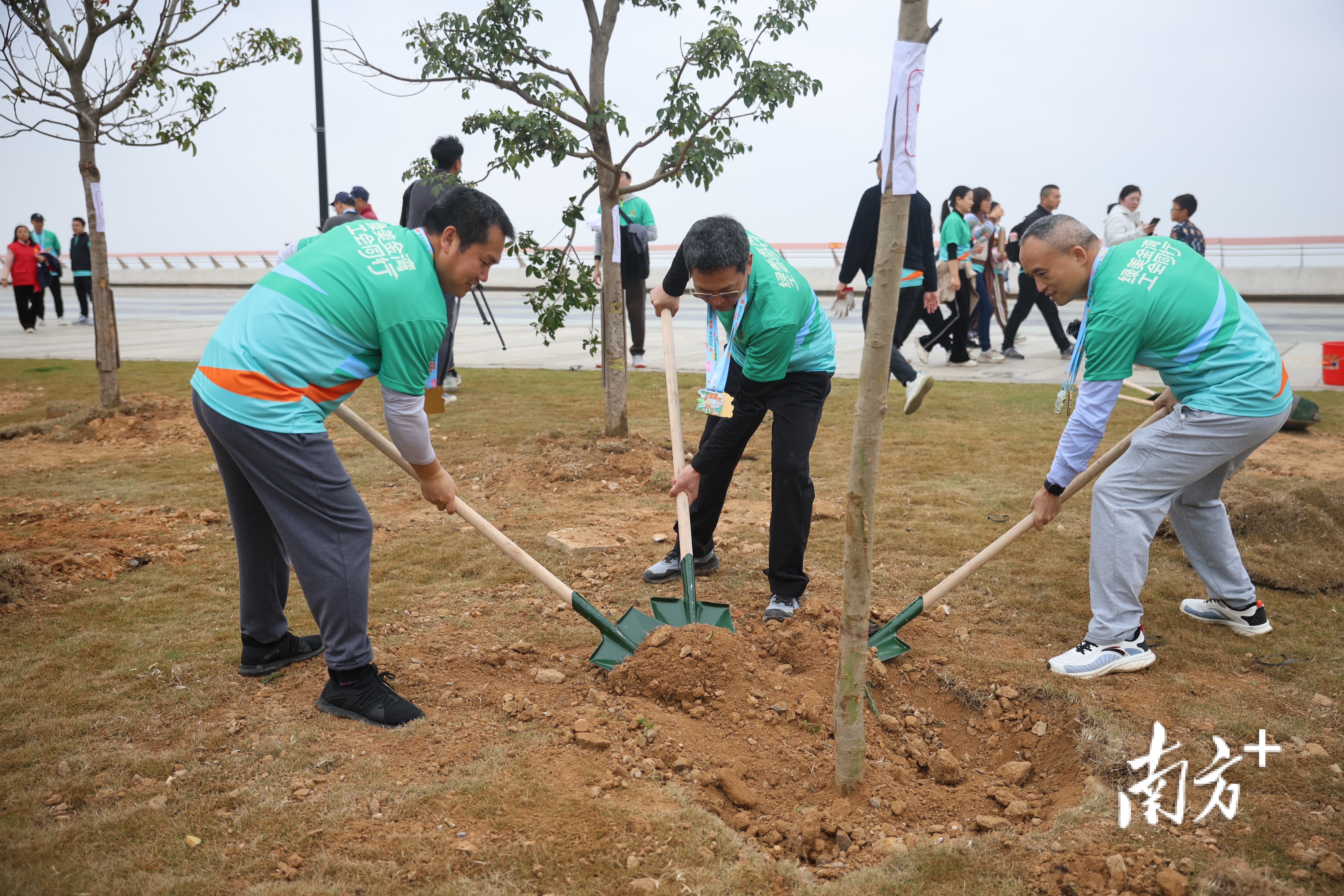 三位劳动模范代表在参与植树。&nbsp;
