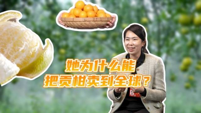 她为什么能把贡柑卖到全球？｜瑶瑶领先
