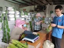 驻王村港镇帮镇扶村工作队携手广州工控解决水果玉米滞销难题