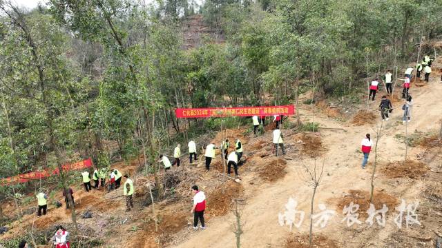 仁化县2024年“深入推进绿美仁化生态建设”新春植树活动