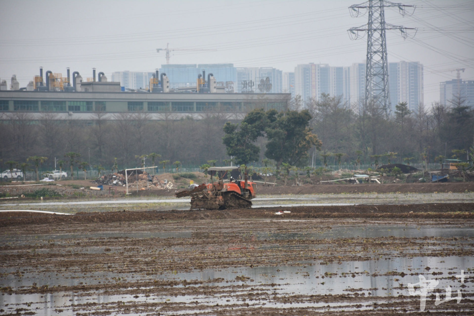 新旺合作社正抓紧时间修整稻田。