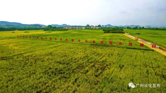 不久前公布的2022年度"广东省十大乡村振兴示范带",广州市从化区"生态