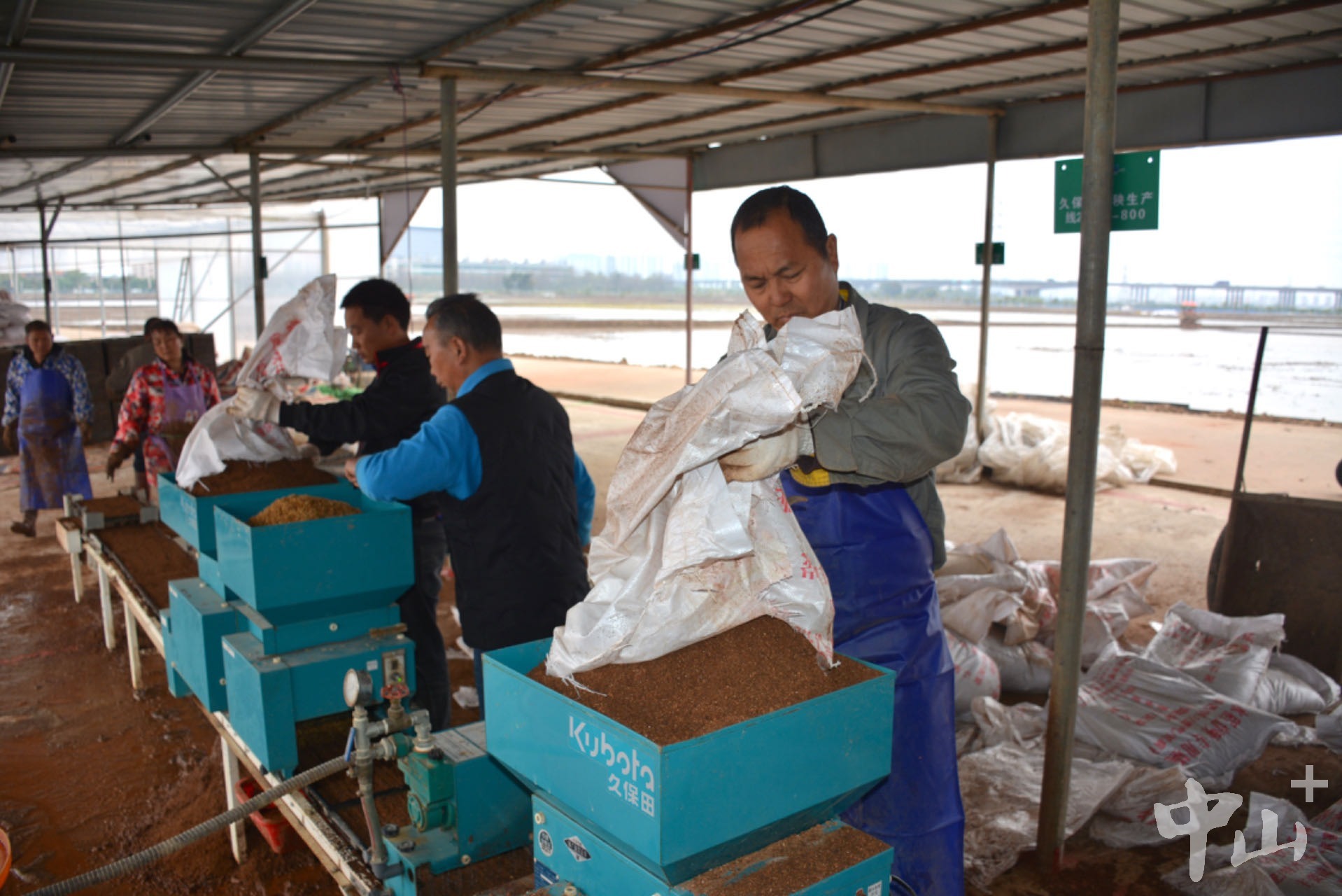 3月9日，新旺合作社的自动化育秧生产线正开足马力生产。