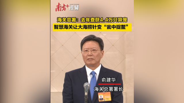 海关总署署长：去年海关查获4.4万只异宠，智慧海关让大海捞针变“瓮中捉鳖”