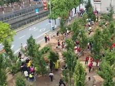 佛山南海开展全民志愿植树活动