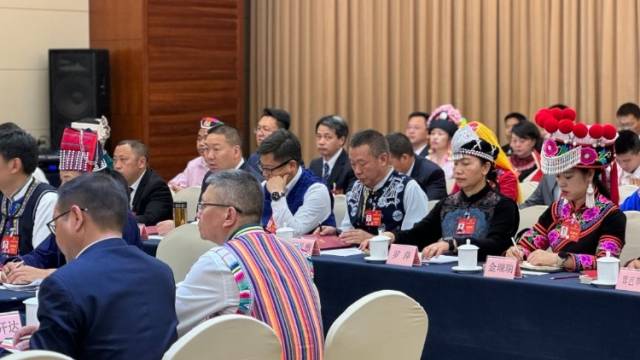 代表如何审“两高”报告？委员关心“两高”哪些话题？