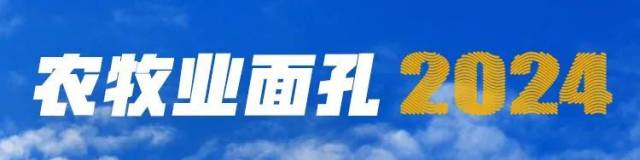 吴有林：积极自救的“养猪黑马”