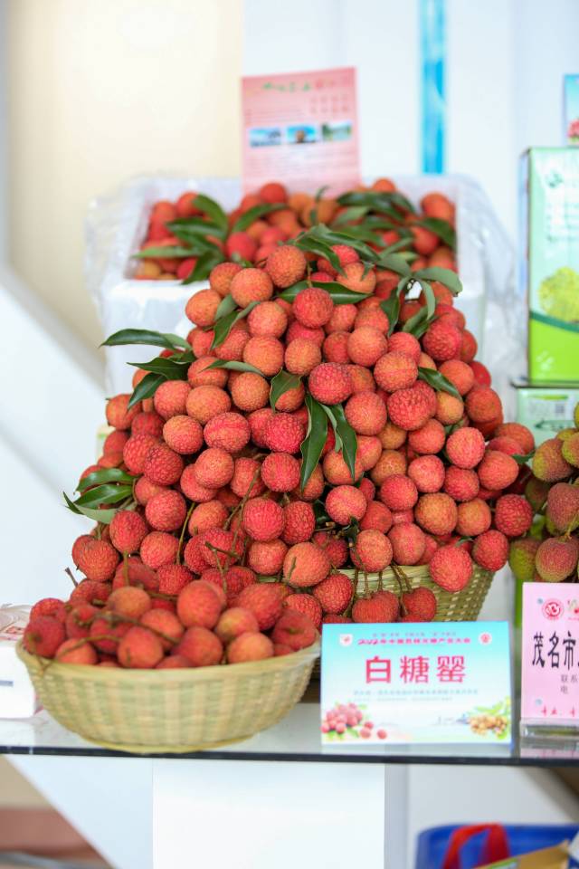 茂名荔枝。