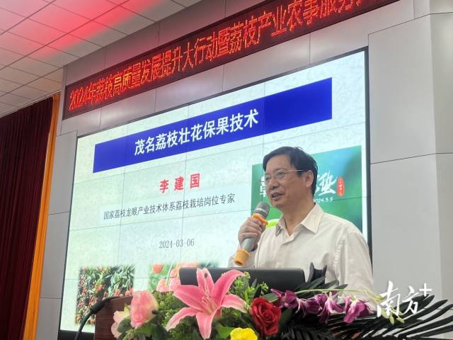 国家荔枝龙眼产业技术体系荔枝栽培岗位科学家李建国
